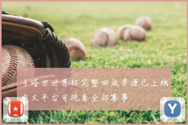 卡塔尔世界杯完整回放资源已上线中文平台可观看全部赛事