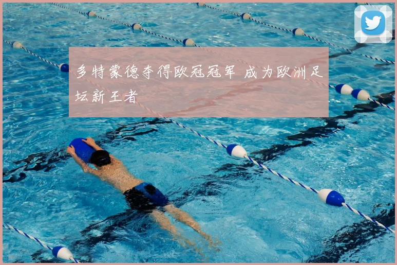 多特蒙德夺得欧冠冠军 成为欧洲足坛新王者